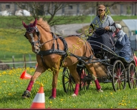 1POSIEUX 0336